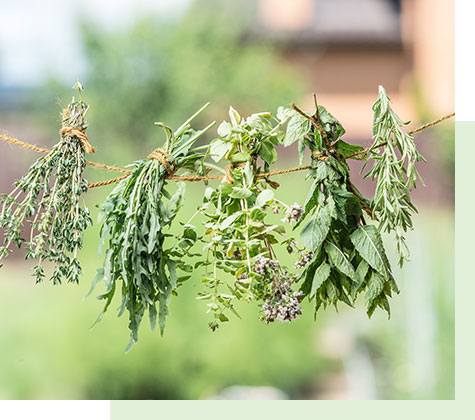 L'expertise phyto SUPERDIET au service de votre santé